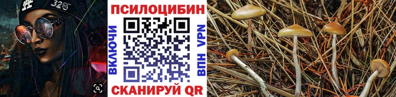 Псилоцибиновые грибы прущие грибы  продажа наркотиков  Уварово 